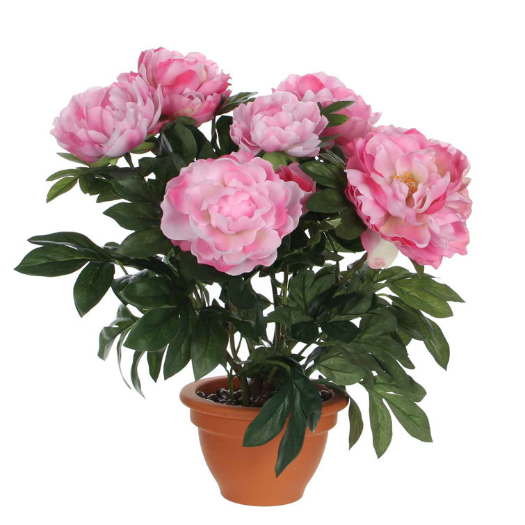 The Seasonal Aisle Peonies Flower Pot Wayfair.co.uk
